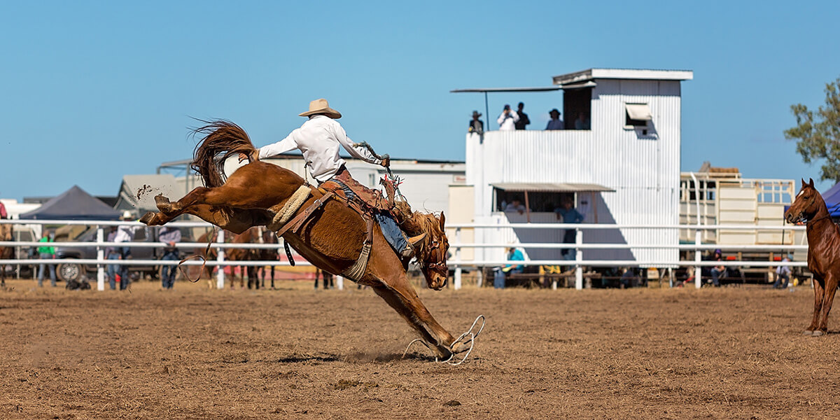Bucking bronc at rodeo