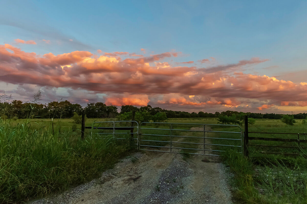 Gate to Texas ranch